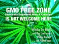 gmofree